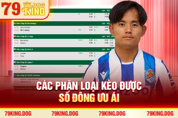 Các phân loại kèo được số đông ưu ái Các phân loại kèo được số đông ưu ái