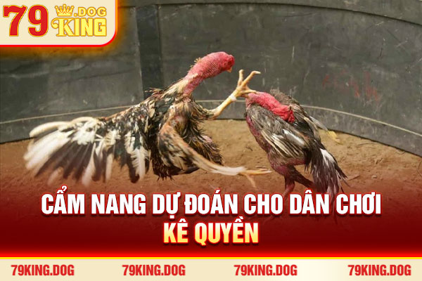 Cẩm nang dự đoán cho dân chơi kê quyền Cẩm nang dự đoán cho dân chơi kê quyền